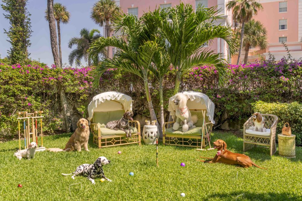 Photography by Gray Malin of Afternoon Croquet, The Colony Hotel