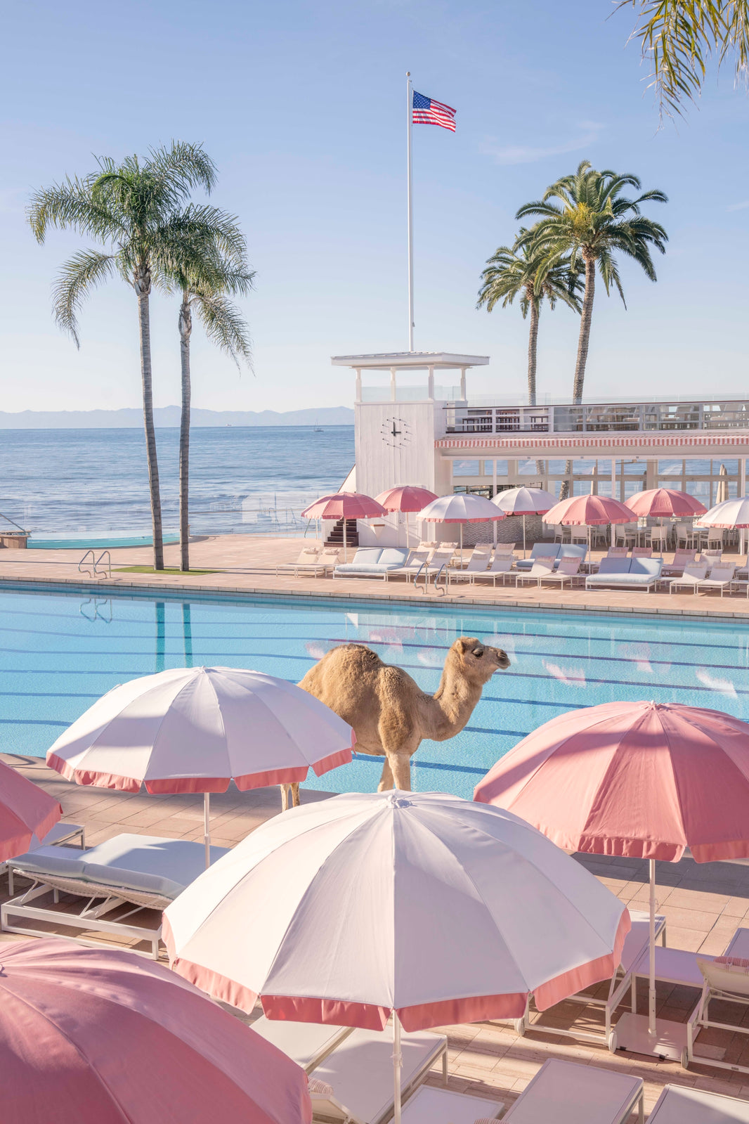 Photography by Gray Malin of Afternoon Dip, Coral Casino