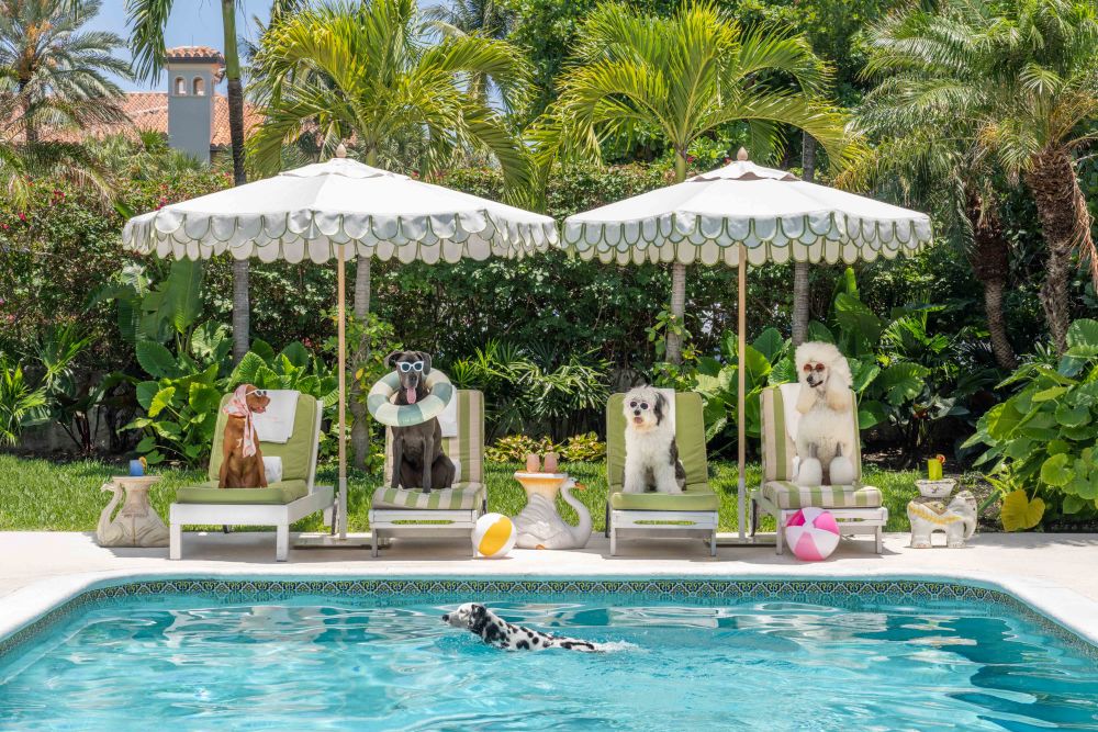 Photography by Gray Malin of Afternoon Swim, The Colony Hotel