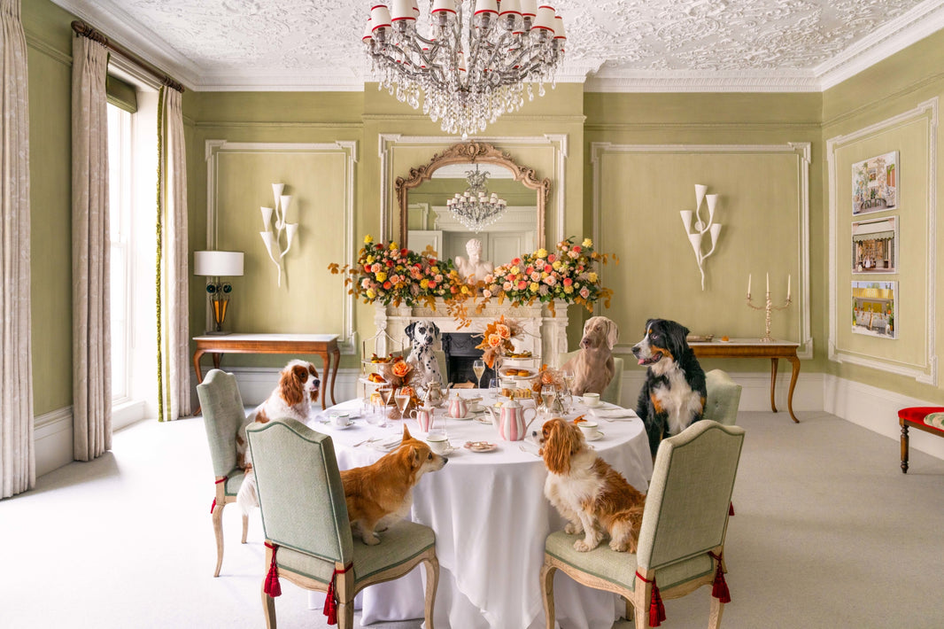 Photography by Gray Malin of Afternoon Tea, Brown’s Hotel, London