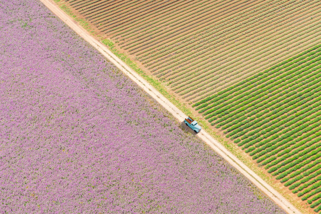 Photography by Gray Malin of Afternoon in Provence