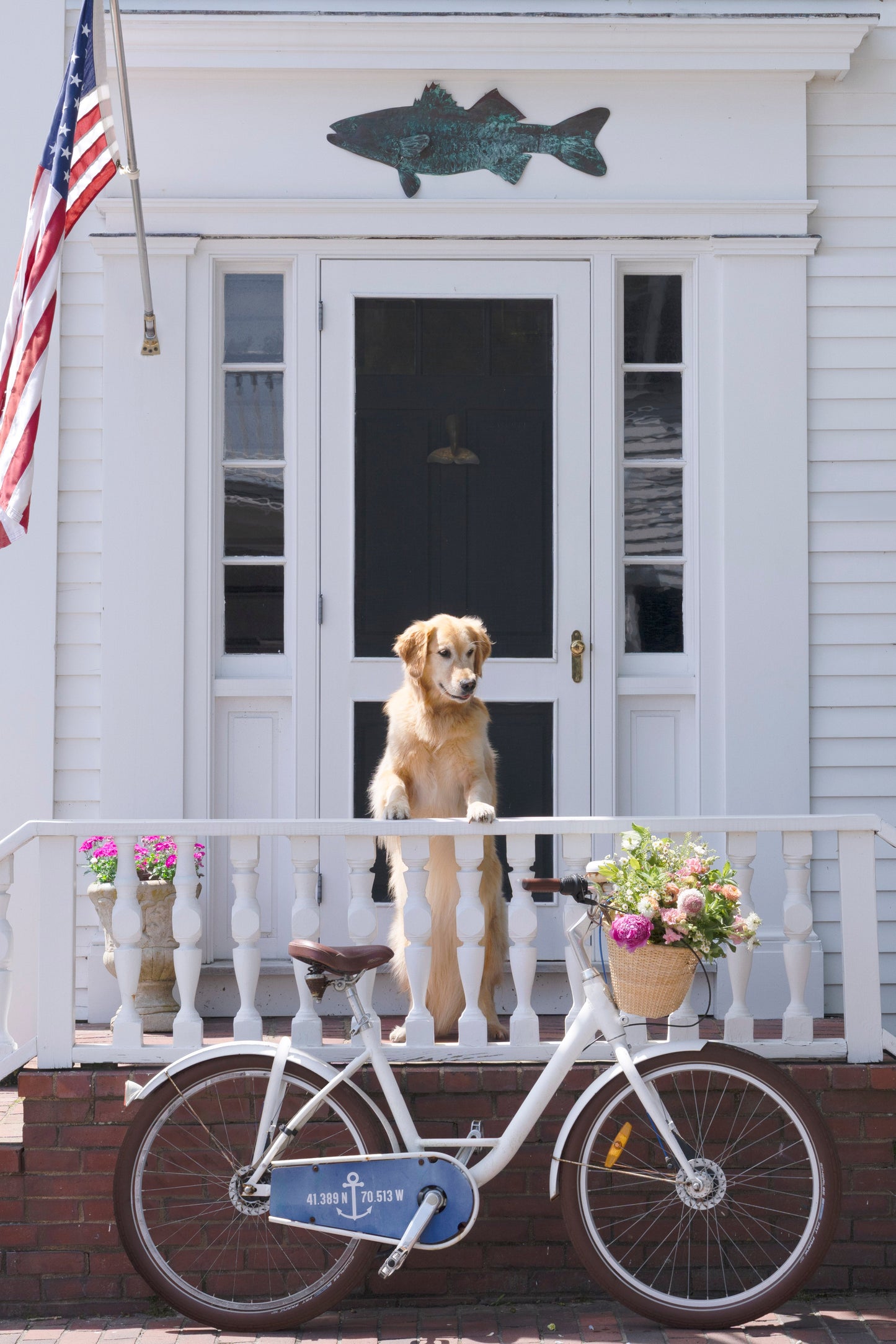 Amity Police Pup, Martha’s Vineyard