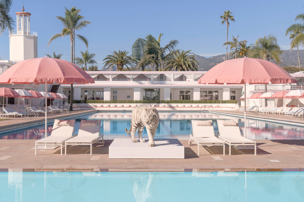Photography by Gray Malin of Bathing Beauty, Coral Casino