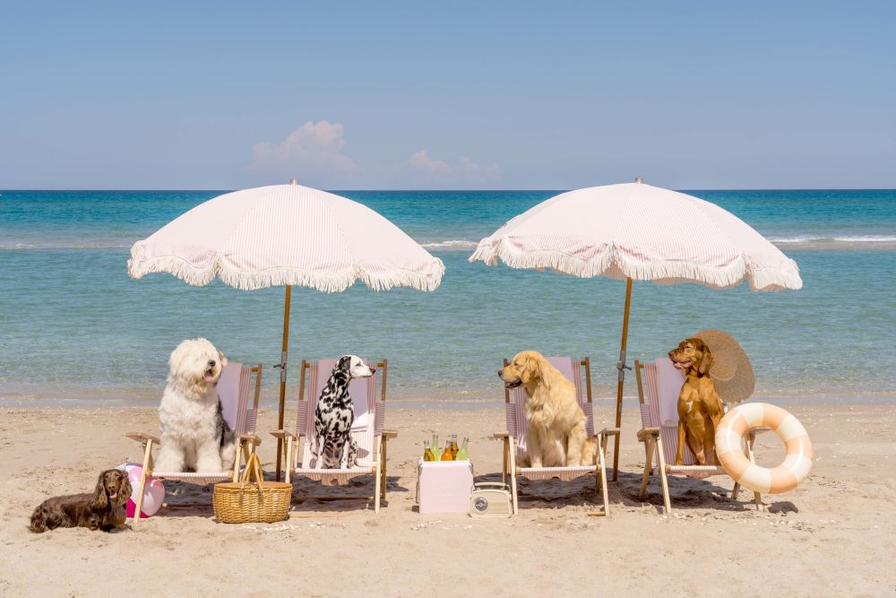 Photography by Gray Malin of Beach Day, Palm Beach