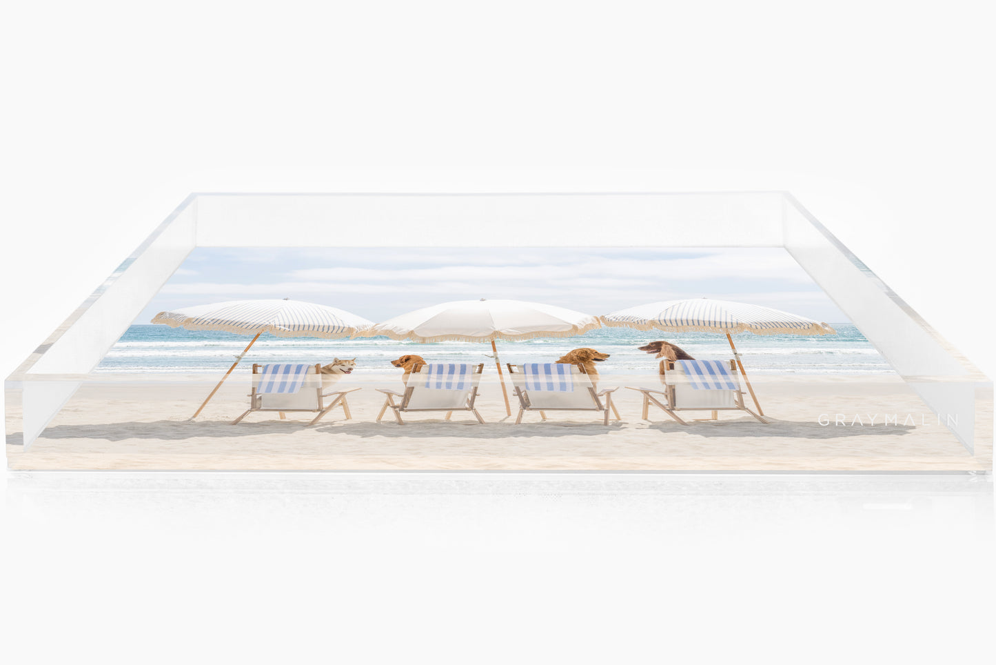 The Beach Day Pups Tray