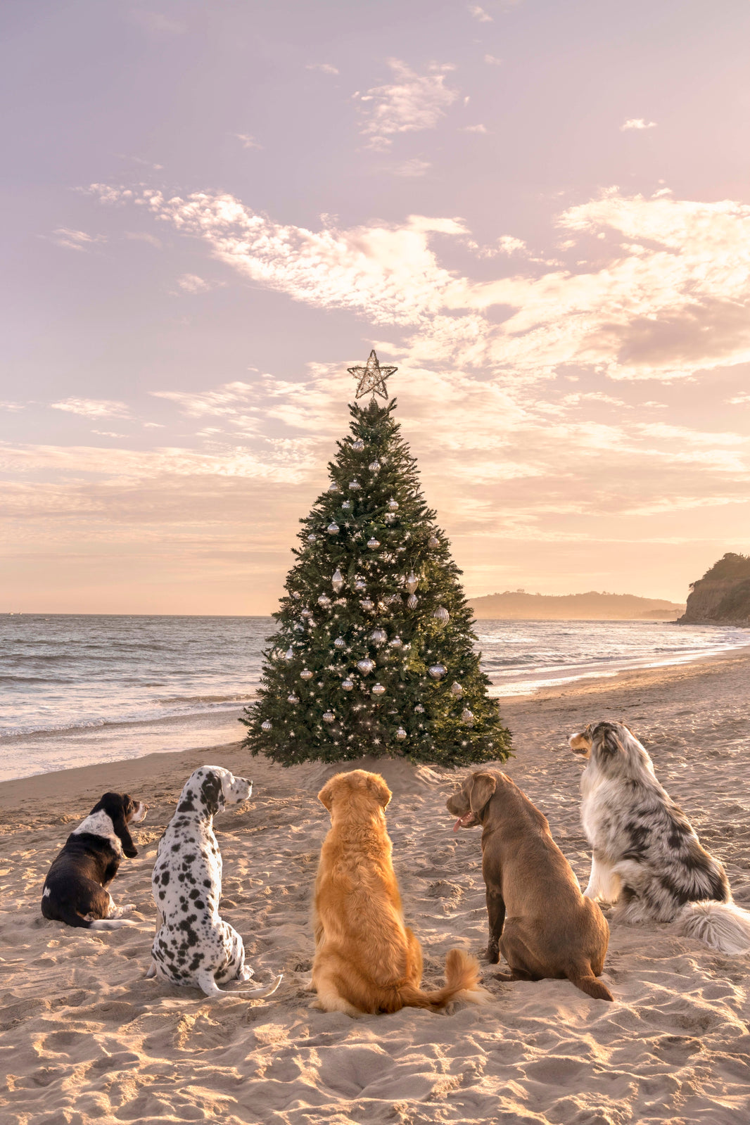 Photography by Gray Malin of Beach Holiday