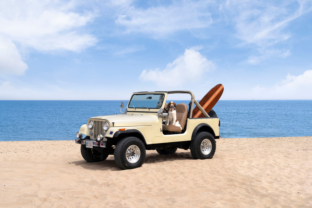 Photography by Gray Malin of Beach Jeep Pup, Martha’s Vineyard