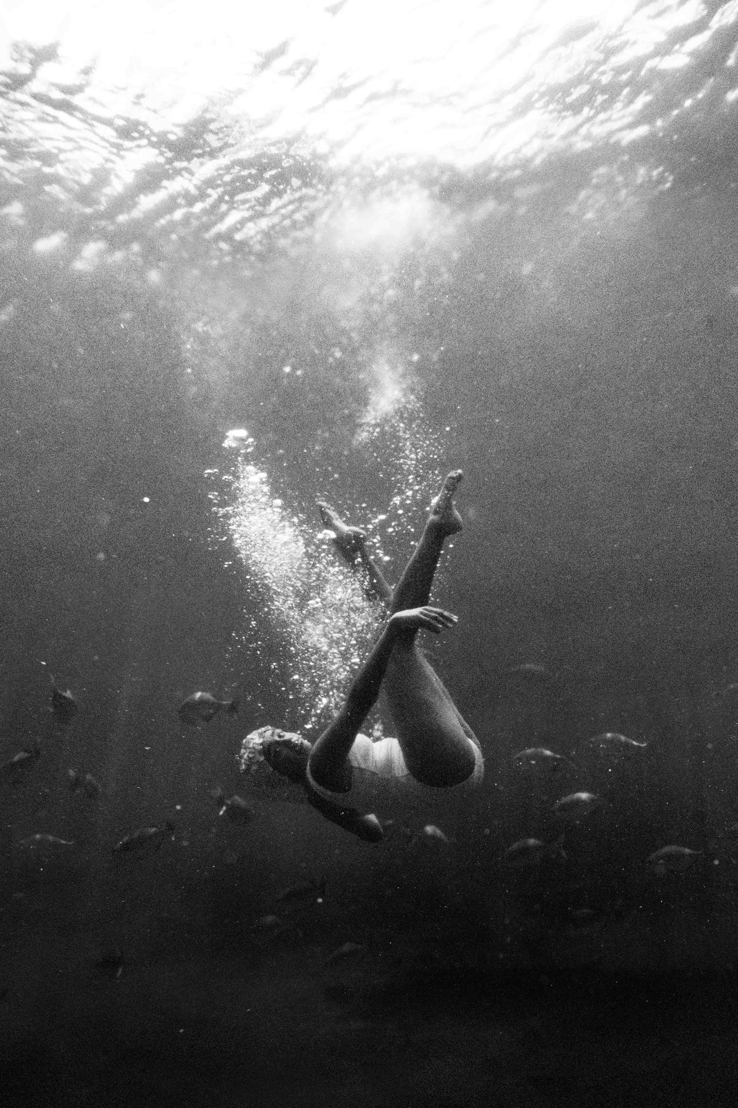 Photography by Gray Malin of Below the Surface, Four Seasons Hualalai, Hawai’i