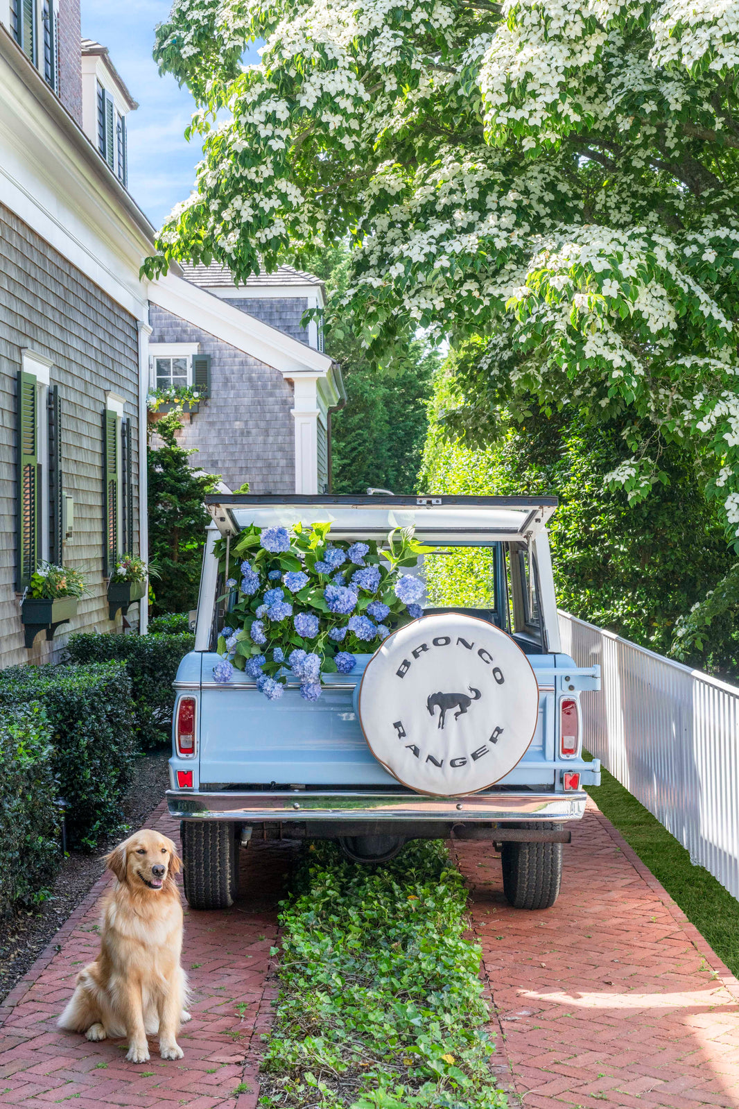 Photography by Gray Malin of Blooming Bronco, Martha’s Vineyard