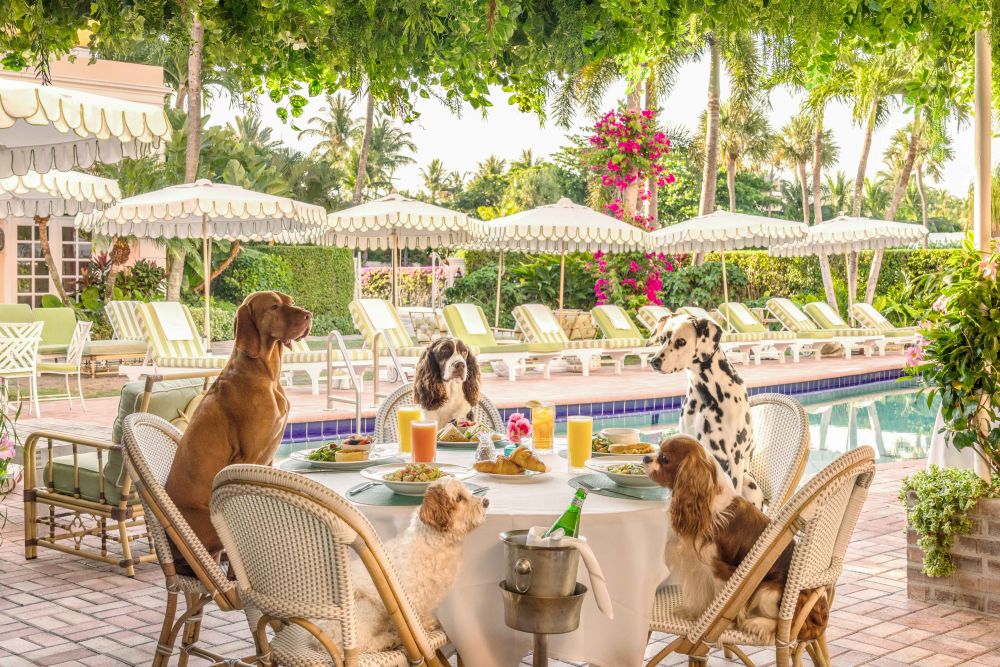 Photography by Gray Malin of Brunch at Swifty’s, The Colony Hotel