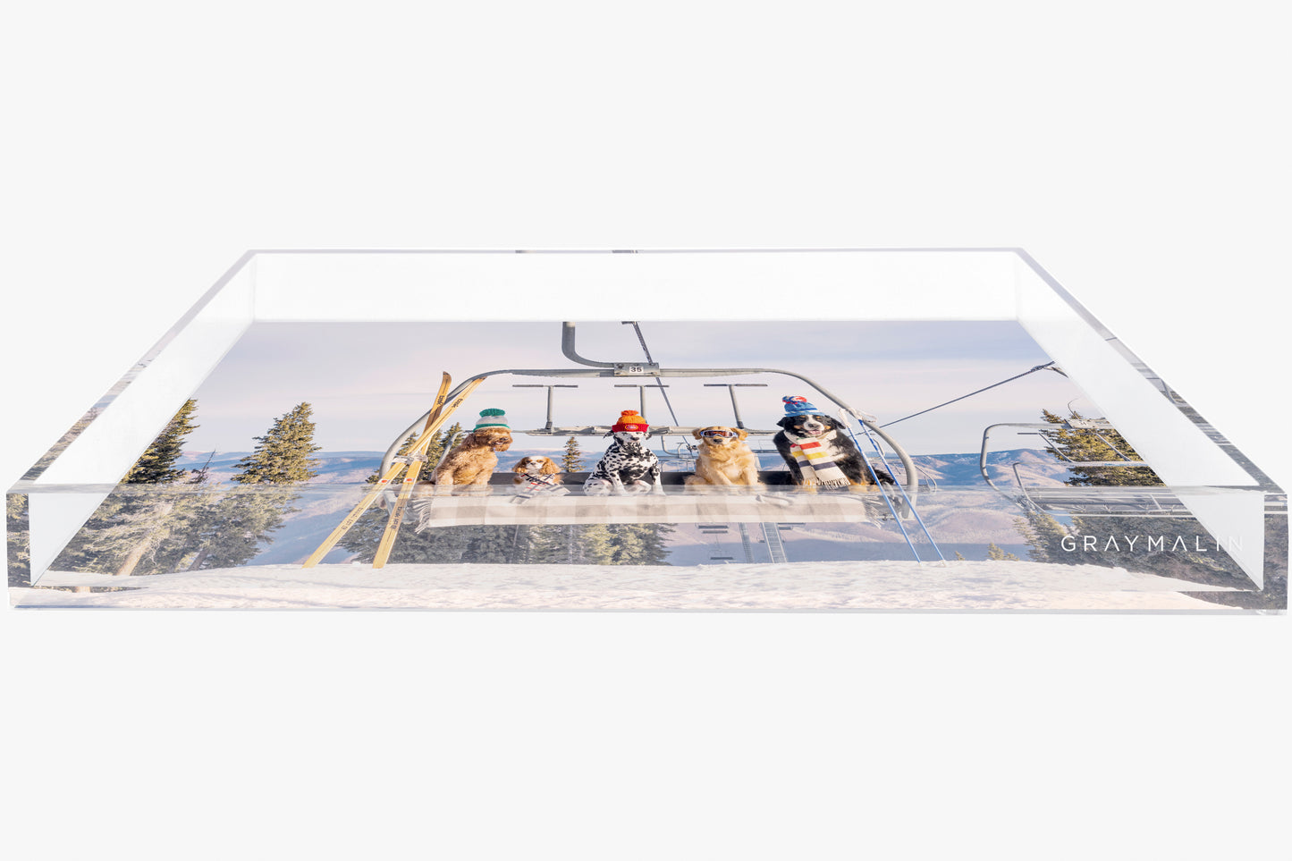 The Chairlift Pups Tray