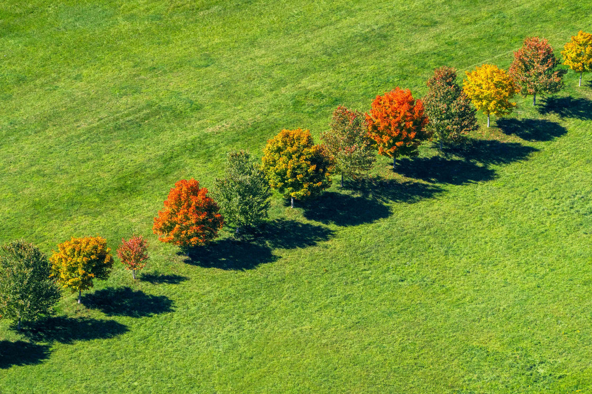 Changing Seasons, Quechee, Vermont