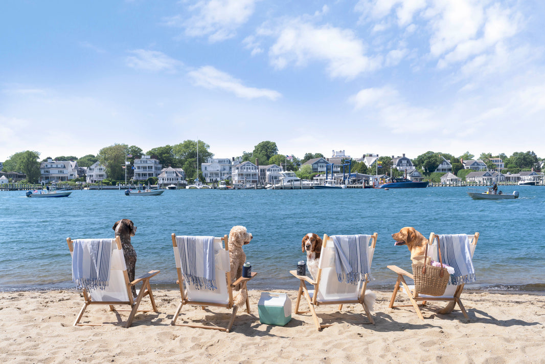 Photography by Gray Malin of Chappy Beach Day, Martha’s Vineyard