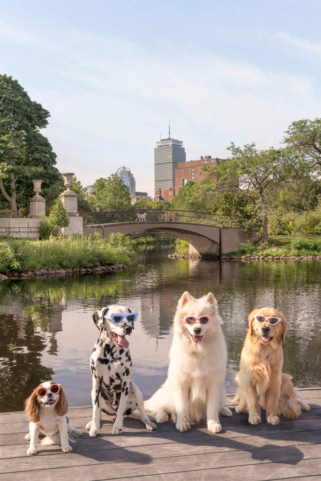 Photography by Gray Malin of Charles River Esplanade, Boston