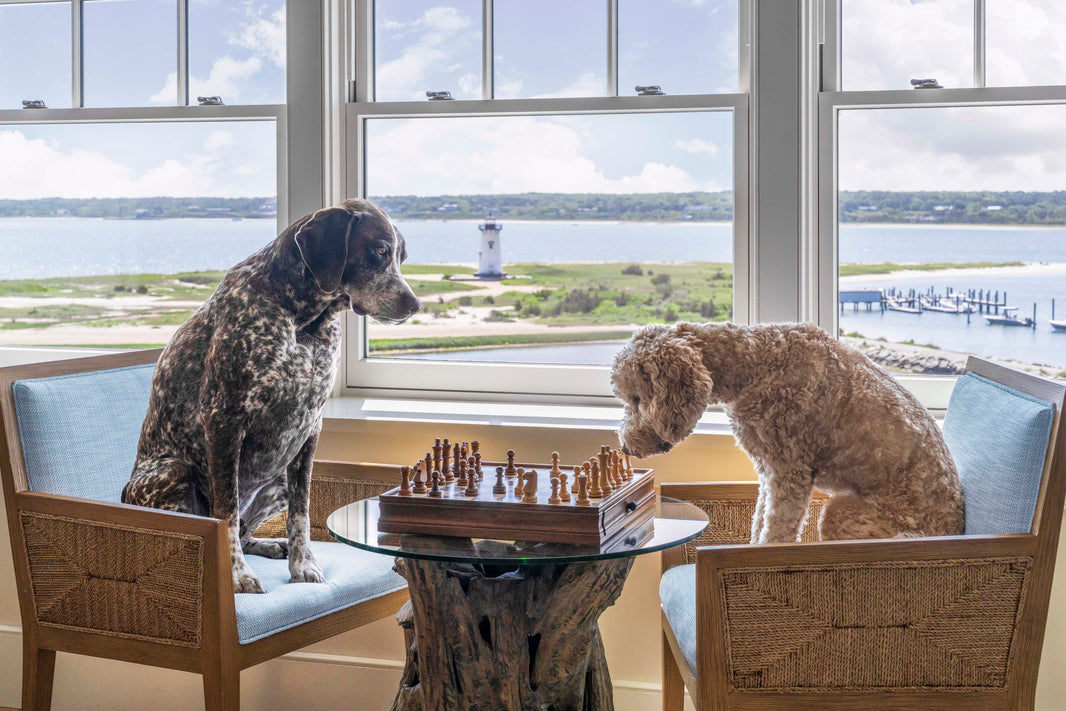 Photography by Gray Malin of Checkmate, Martha’s Vineyard
