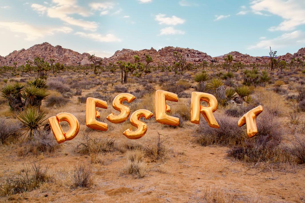 Photography by Gray Malin of Dessert Balloons