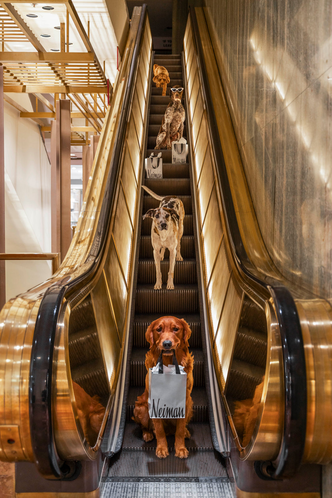 Photography by Gray Malin of Escalator Ride, Neiman Marcus, Downtown Dallas