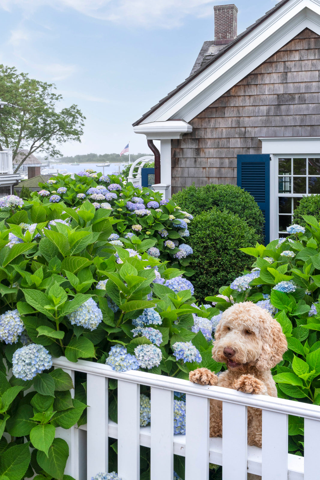 Photography by Gray Malin of Garden Greeter, Martha’s Vineyard