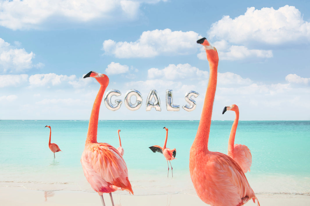 Photography by Gray Malin of Goals Balloons