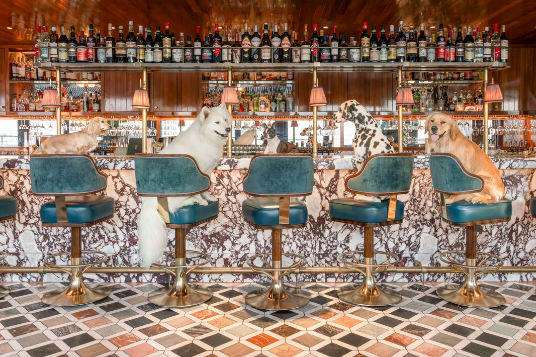 Photography by Gray Malin of Happy Hour, Contessa, Boston