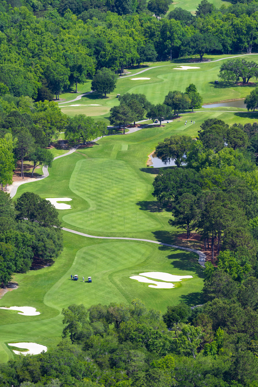 Photography by Gray Malin of Hole 3, Daniel Island Club, South Carolina