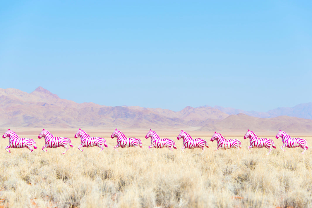 Photography by Gray Malin of Hot Pink Zebras Balloons