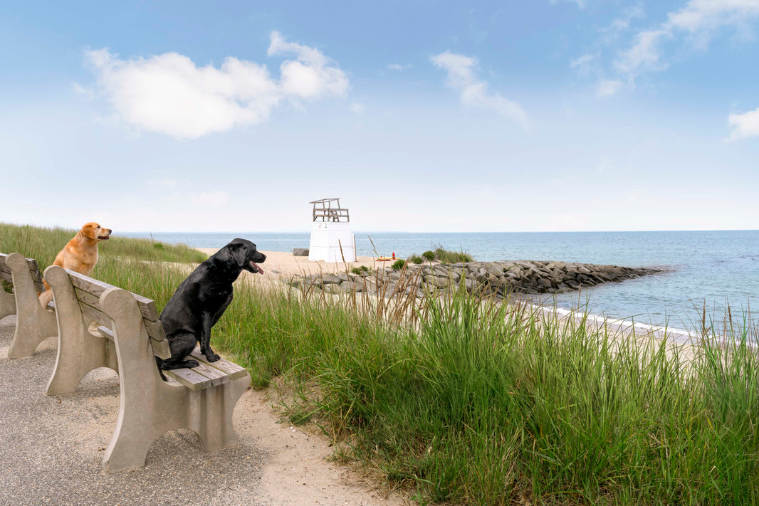 Photography by Gray Malin of Inkwell Beach, Oak Bluffs, Martha’s Vineyard