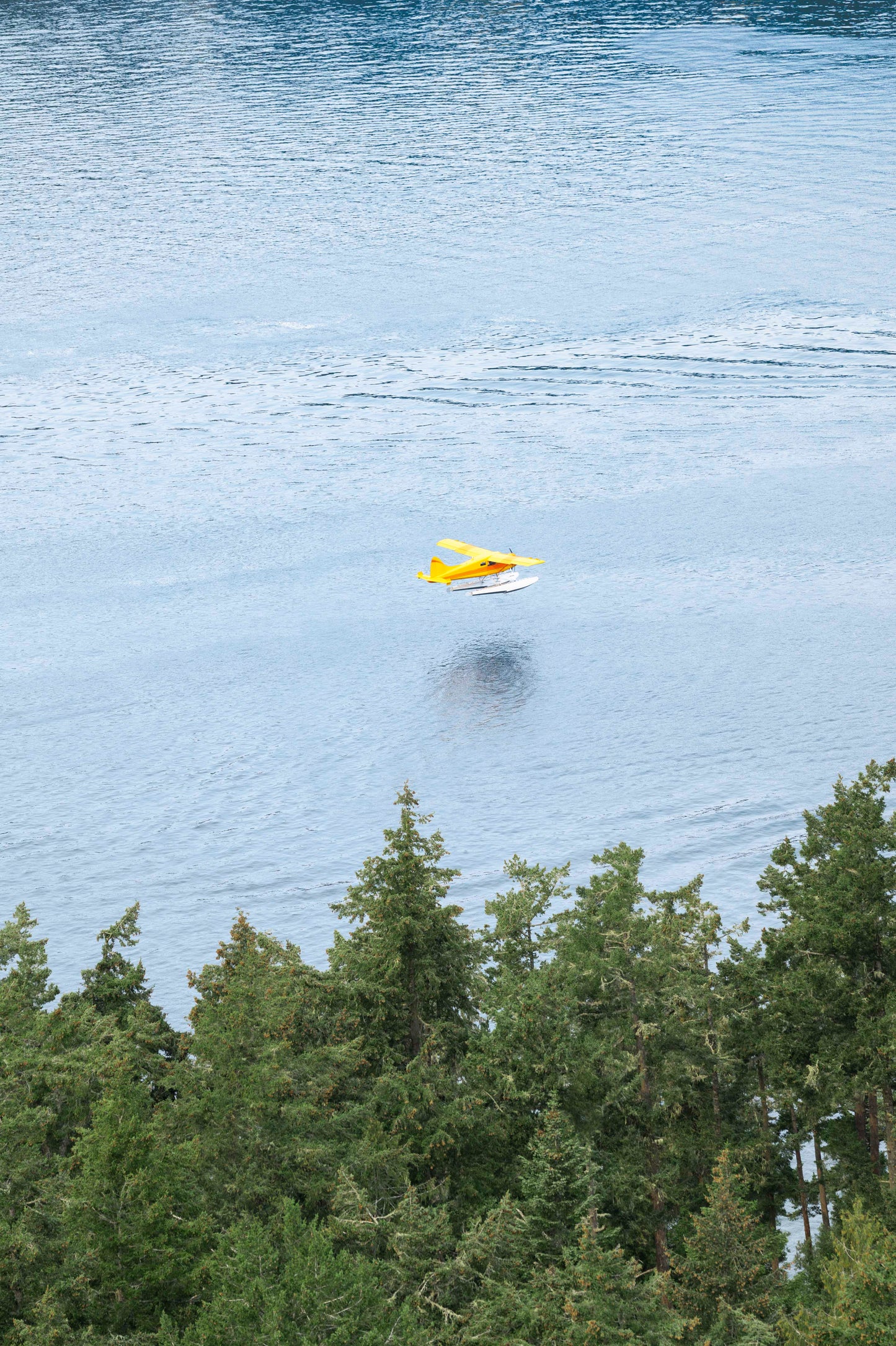 Landing in Friday Harbor, Puget Sound