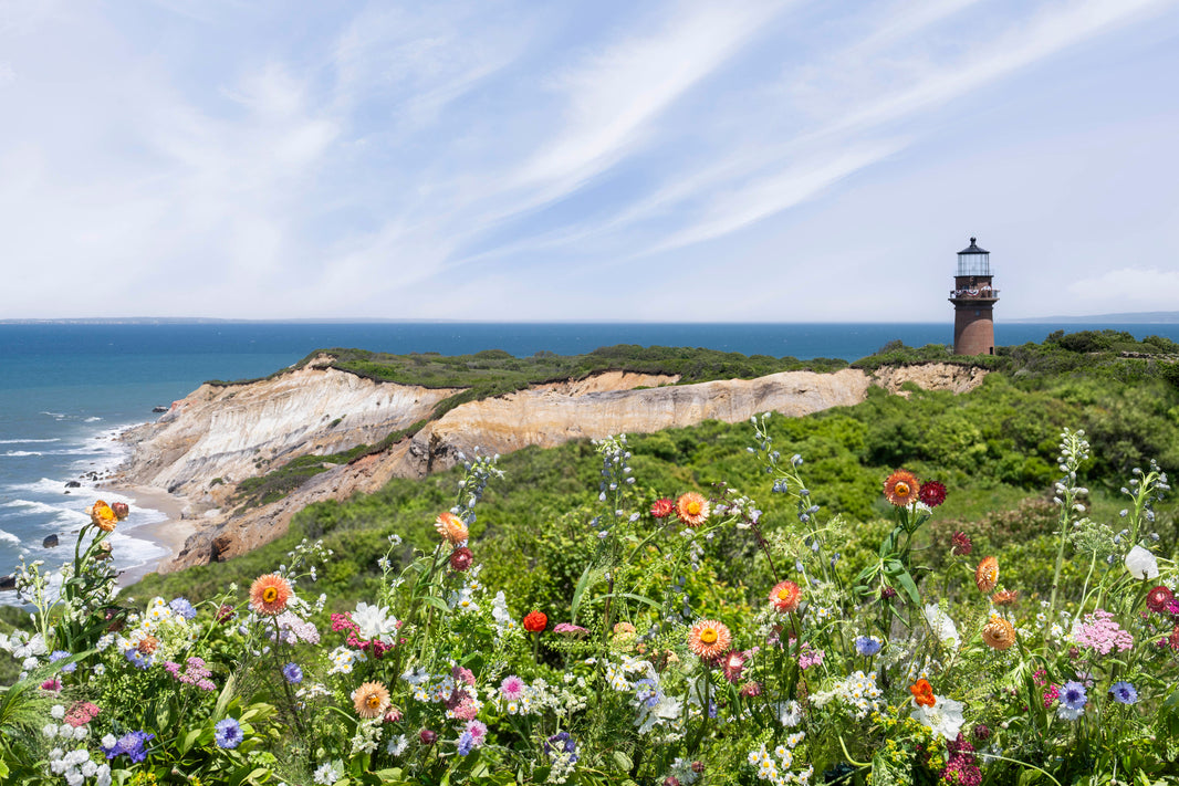 Photography by Gray Malin of Lighthouse Vista, Aquinnah, Martha’s Vineyard