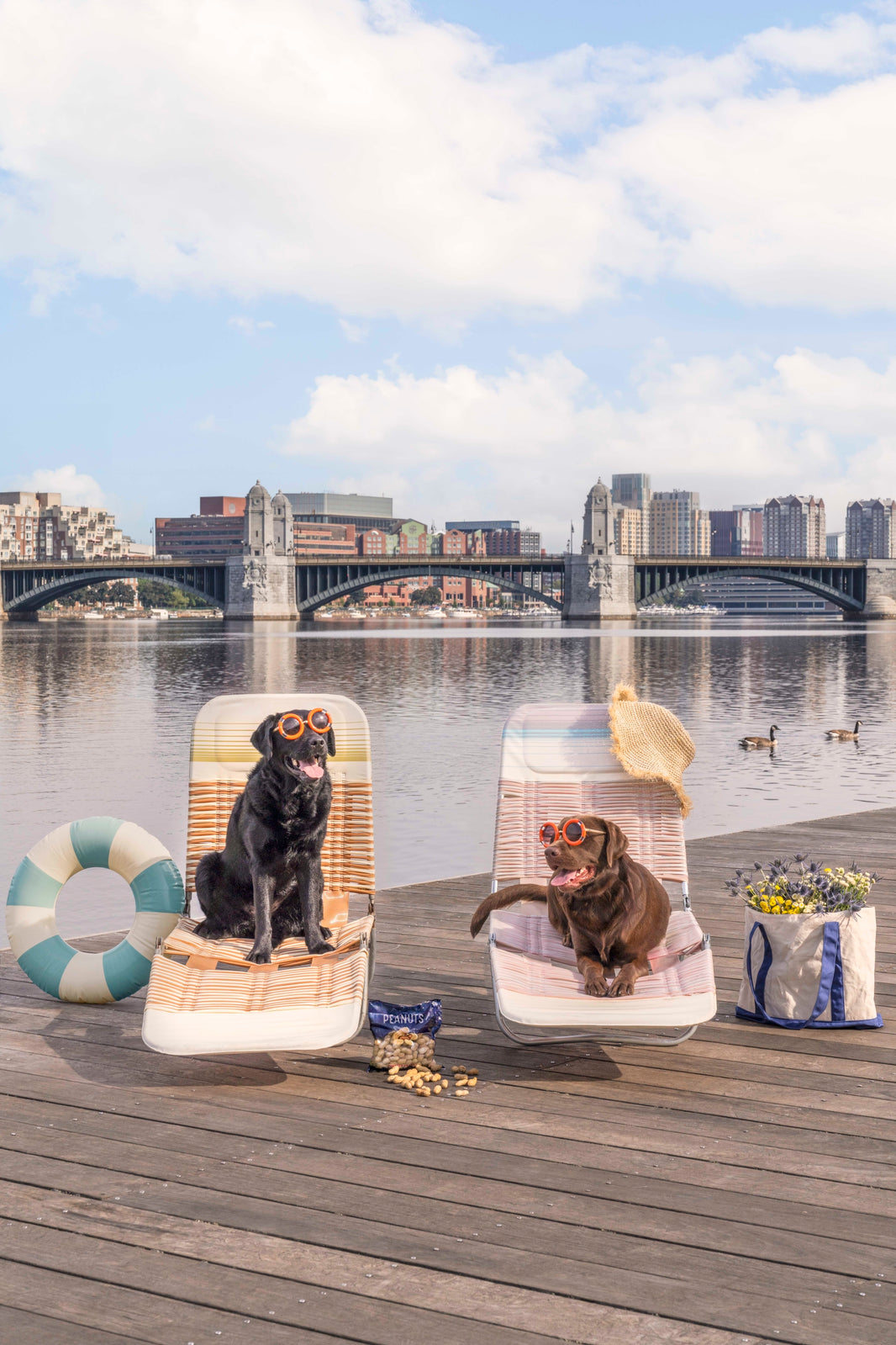 Photography by Gray Malin of Lounging Labs, Charles River Esplanade, Boston