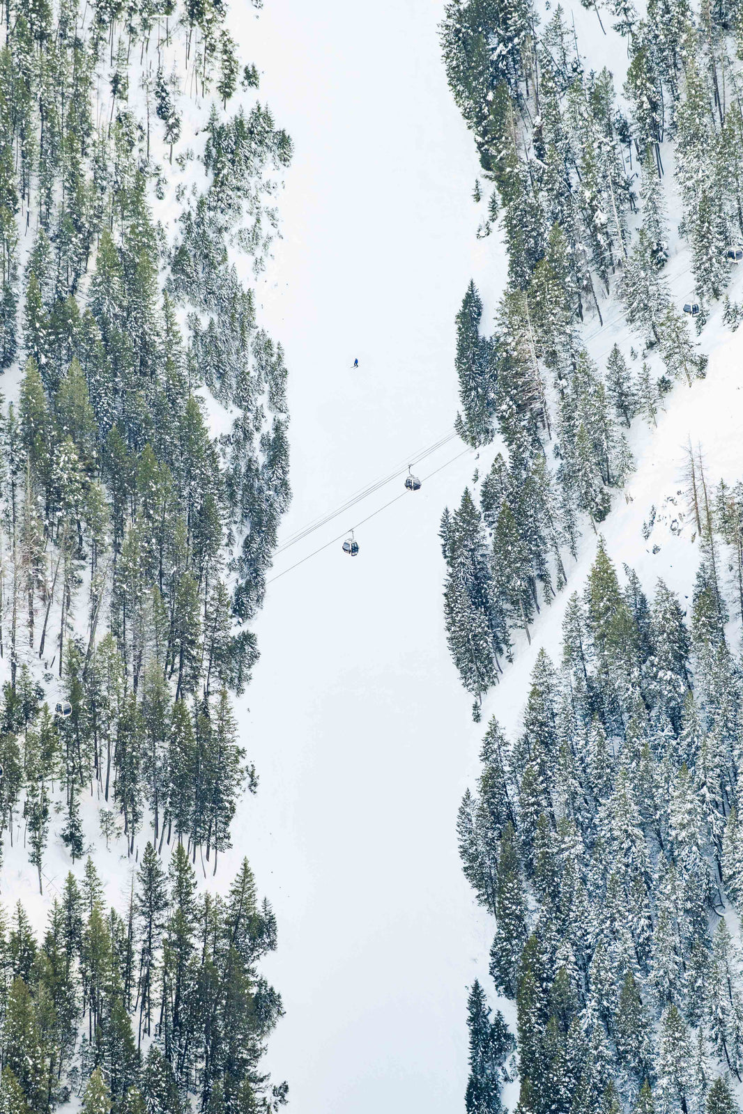 Photography by Gray Malin of Lower Olympic Run and Roundhouse Express, Sun Valley