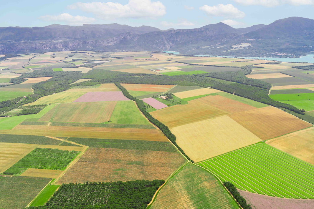 Photography by Gray Malin of Luberon Valley, Provence