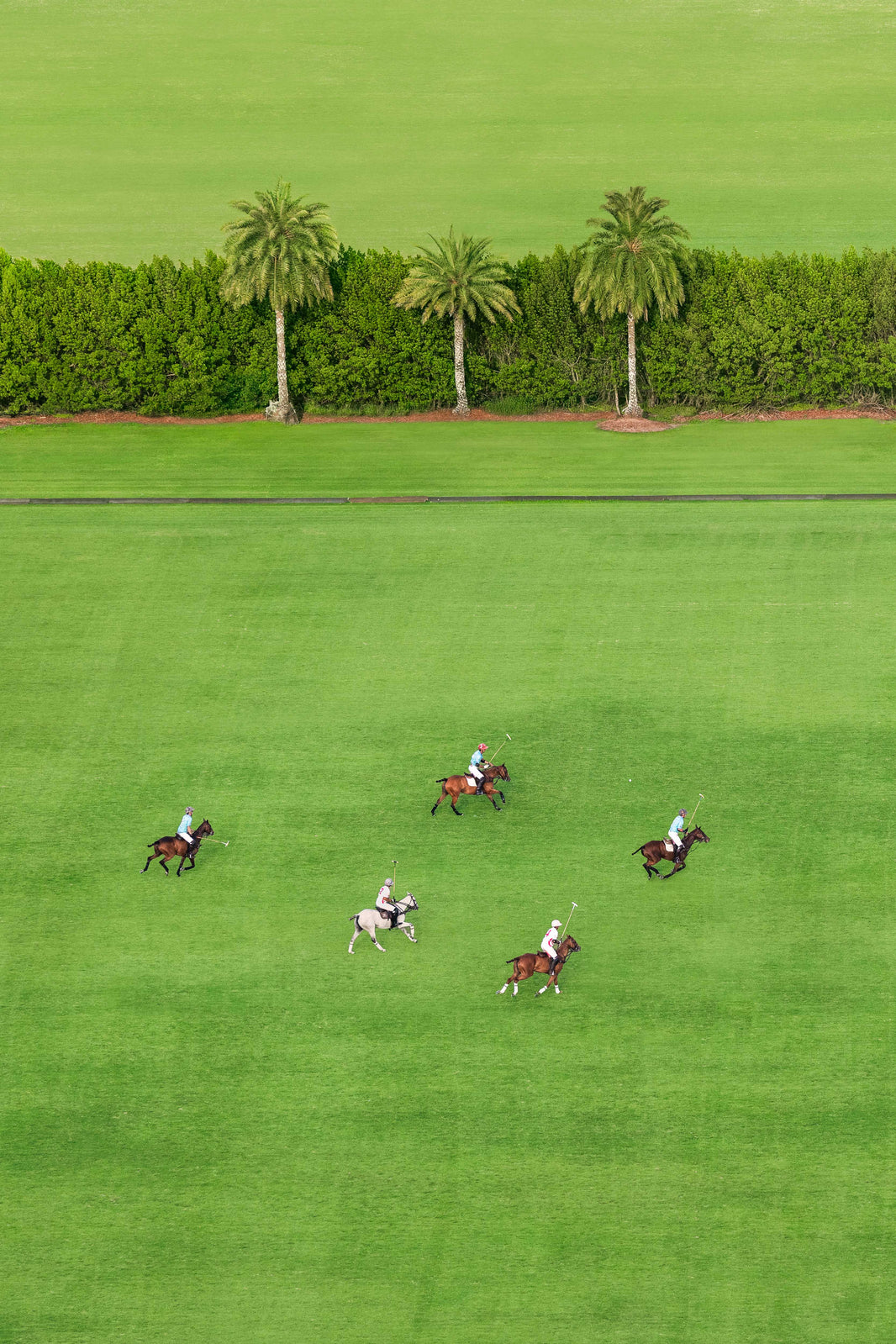 Match Day in Wellington, Polo Club by Gray Malin
