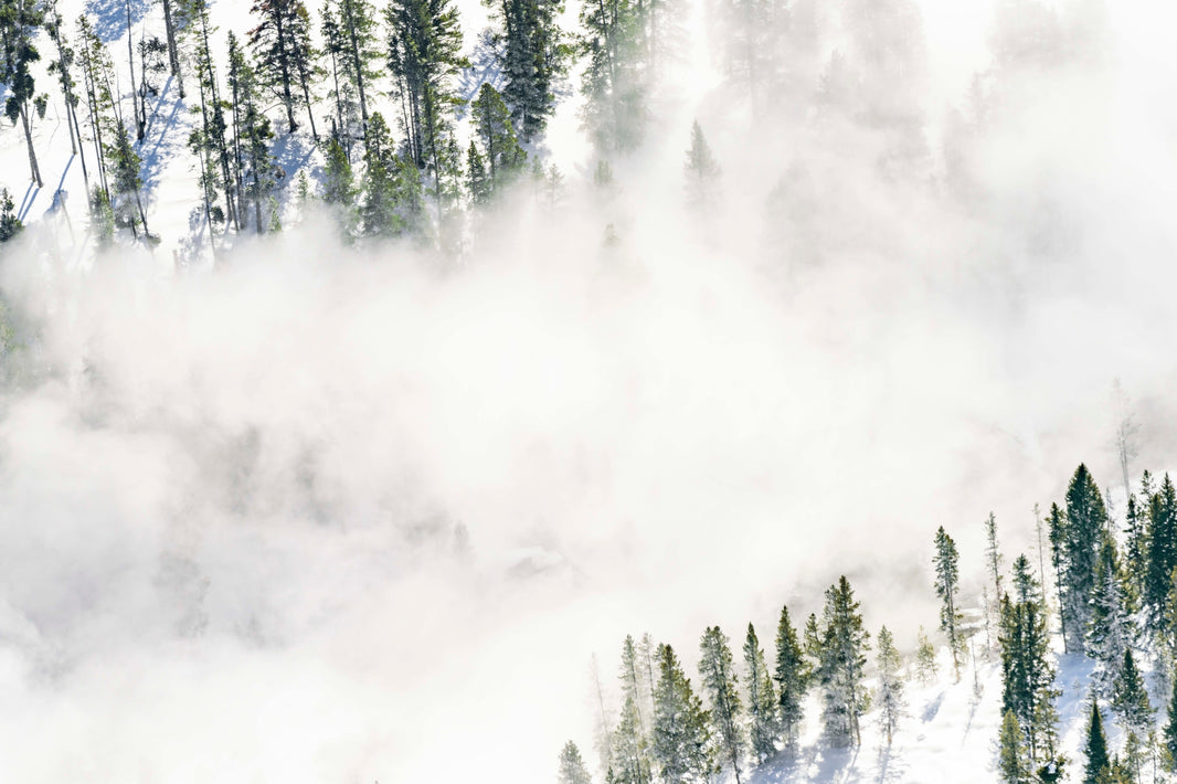 Photography by Gray Malin of Midway Geyser Basin Fog and Trees, Yellowstone National Park