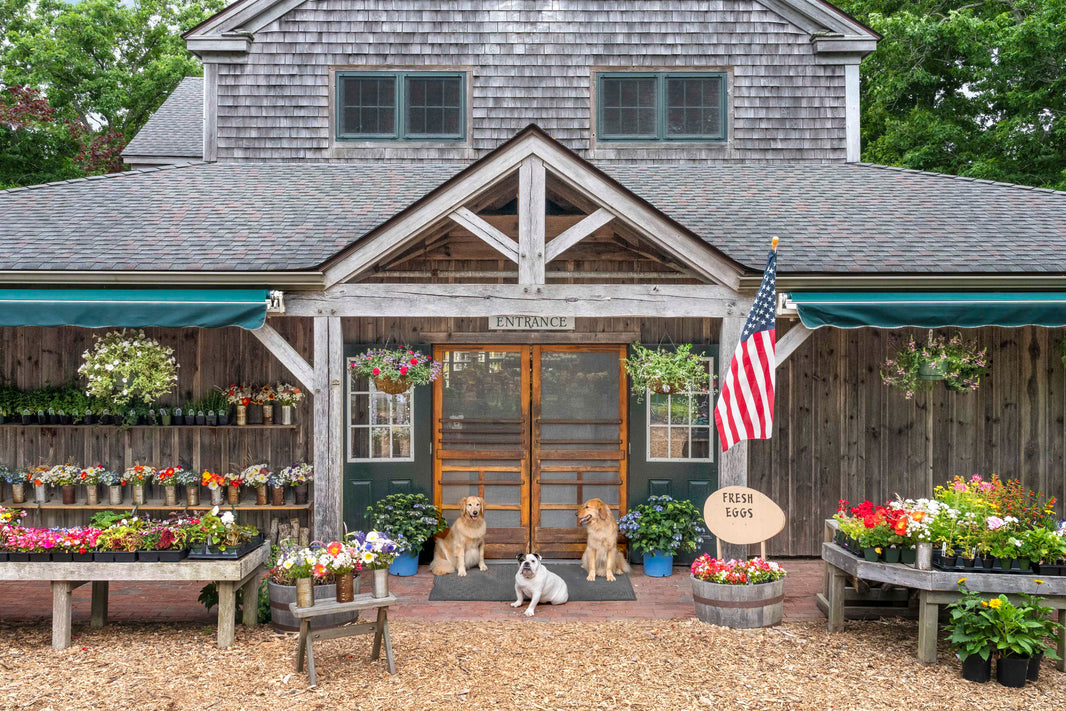 Photography by Gray Malin of Morning Glory Farm, Martha’s Vineyard