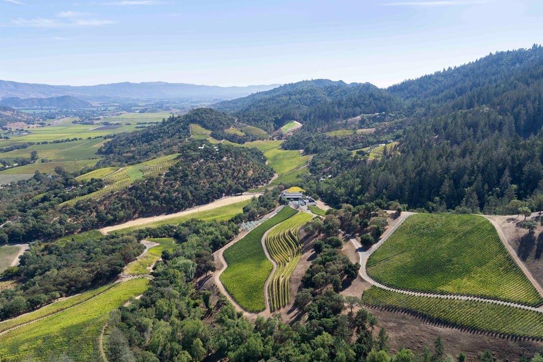 Photography by Gray Malin of Napa Valley Foothills