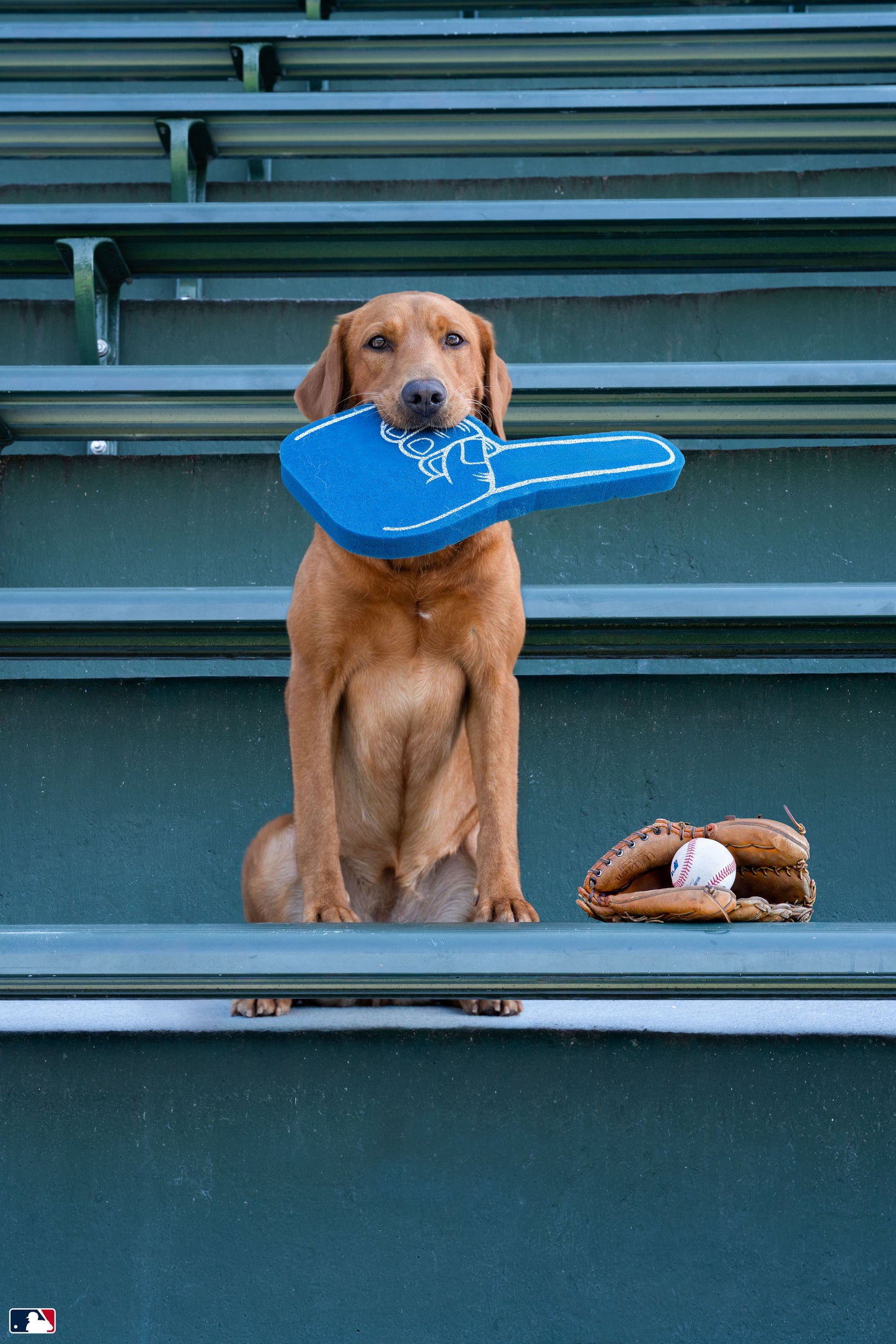 Number One Fan, Wrigley Field, Chicago