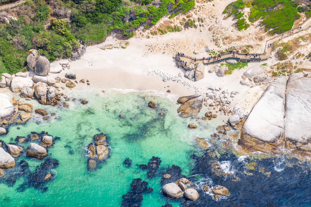 Photography by Gray Malin of Penguin Colony, Boulders Beach, Cape Town