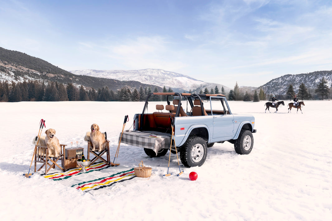 Photography by Gray Malin of Picnic Polo Pups, Aspen