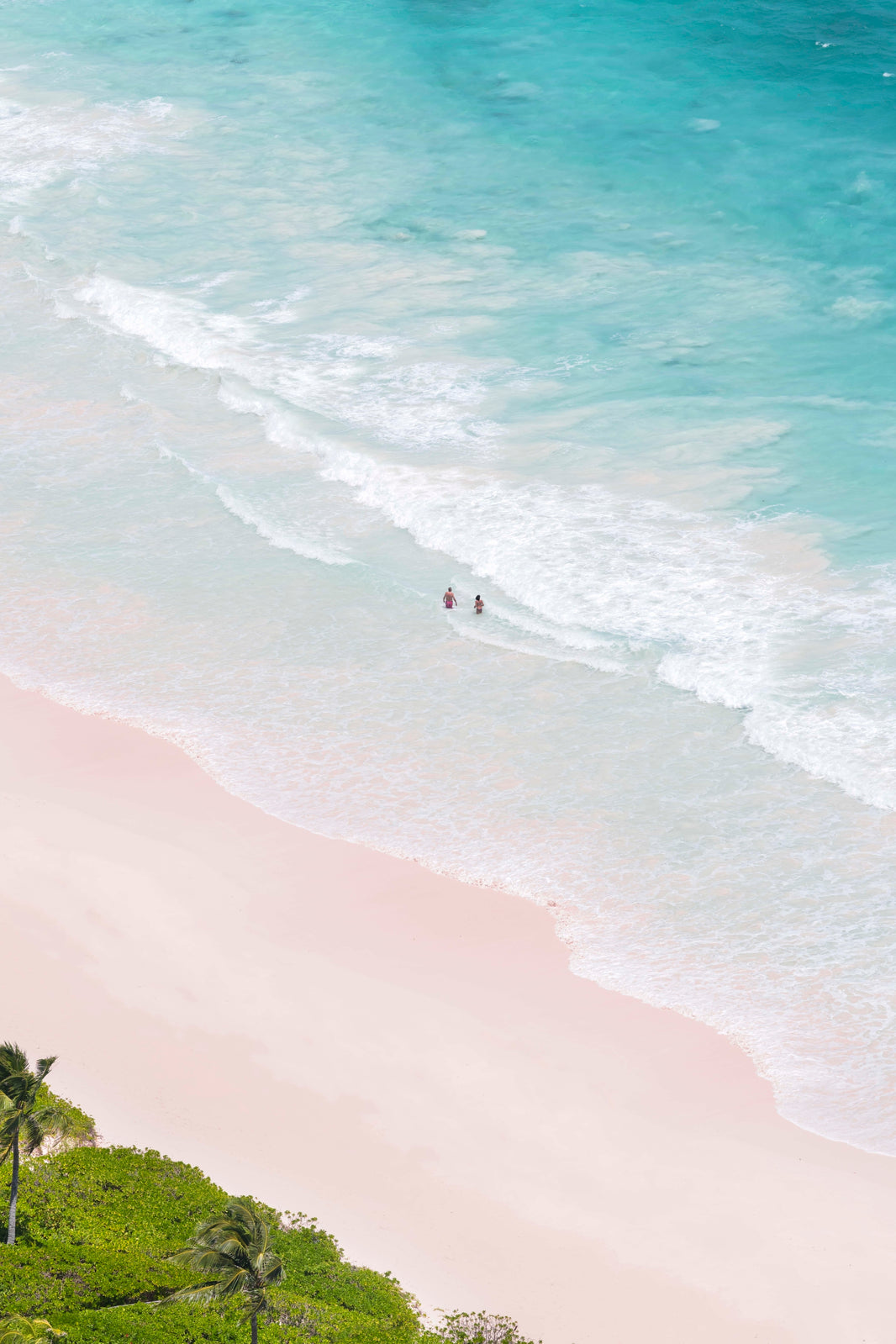 Pink Sand Beach Swimmers Vertical, Harbour Island, Bahamas by Gray Malin