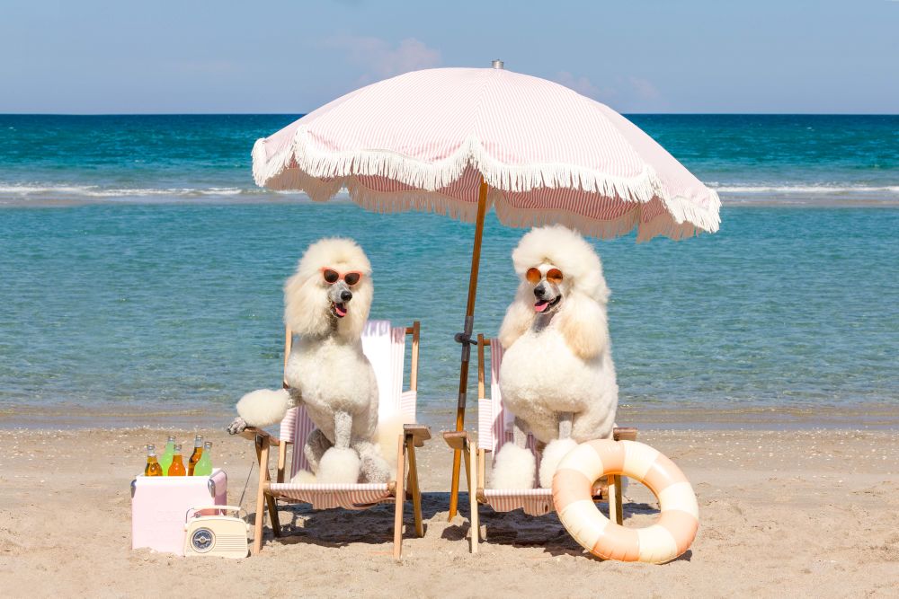 Photography by Gray Malin of Poodle Beach Day, Palm Beach