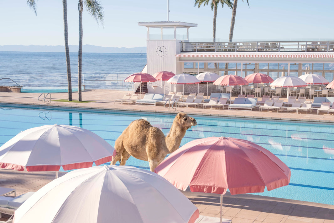 Photography by Gray Malin of Pool Boy, Coral Casino