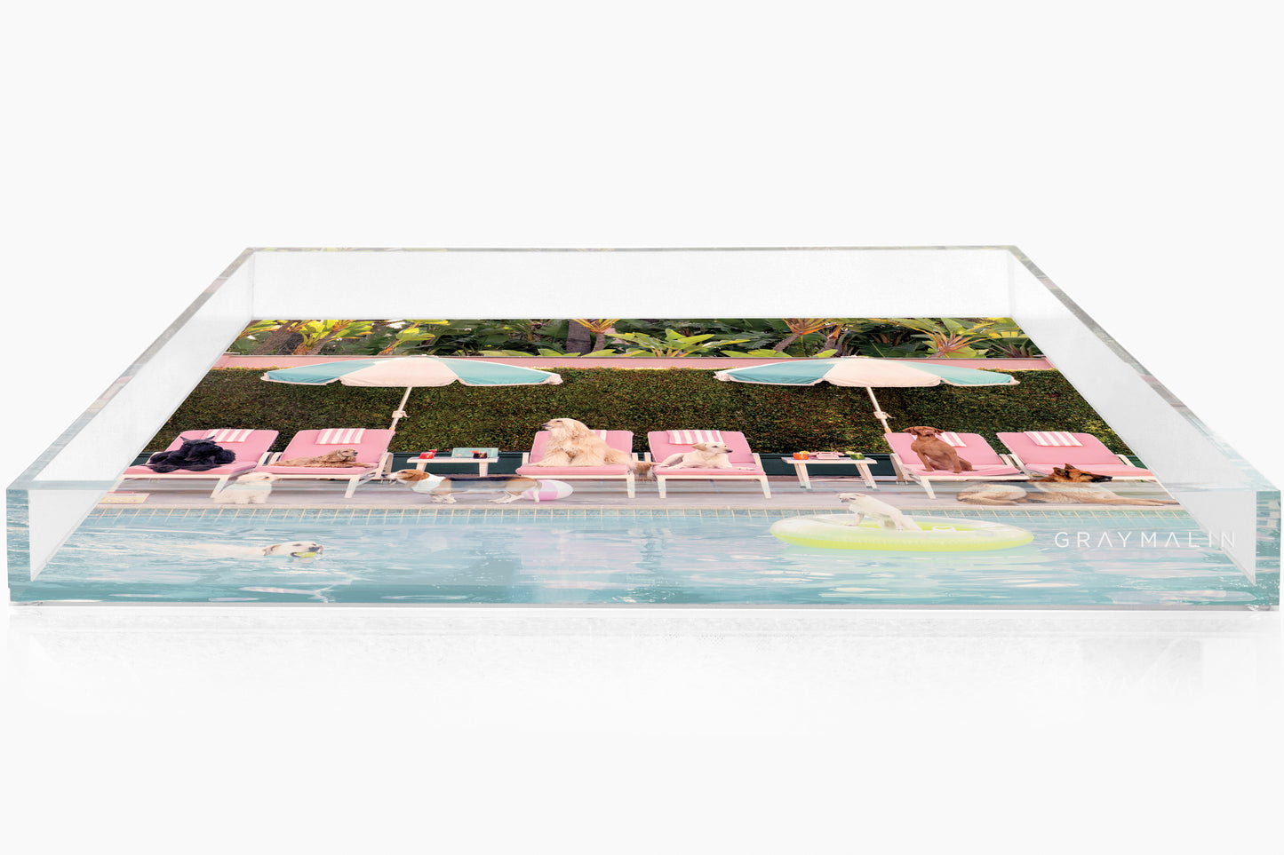 The Dogs at the Beverly Hills Hotel Tray