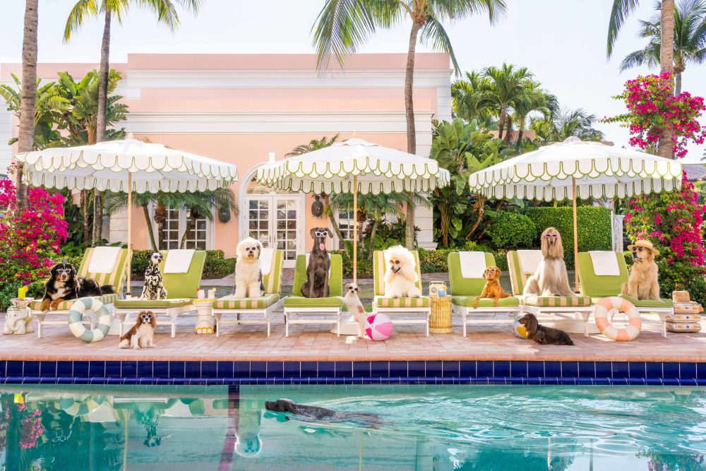 Photography by Gray Malin of Pool Day, The Colony Hotel