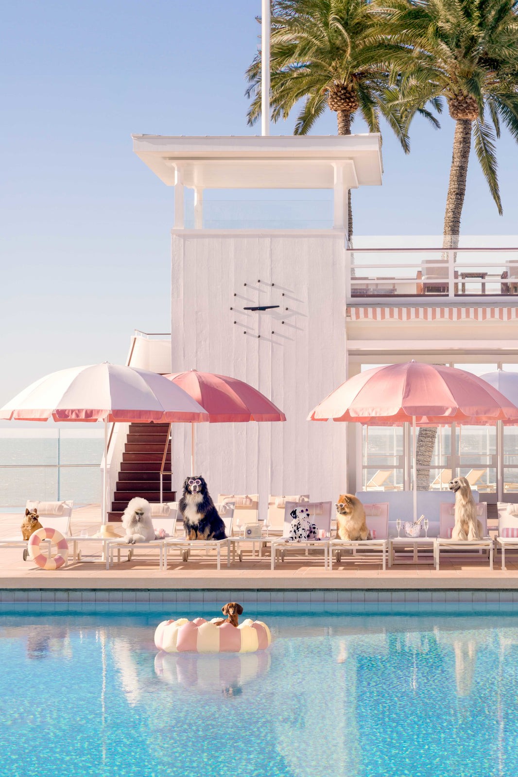 Photography by Gray Malin of Pool Day Vertical, Coral Casino
