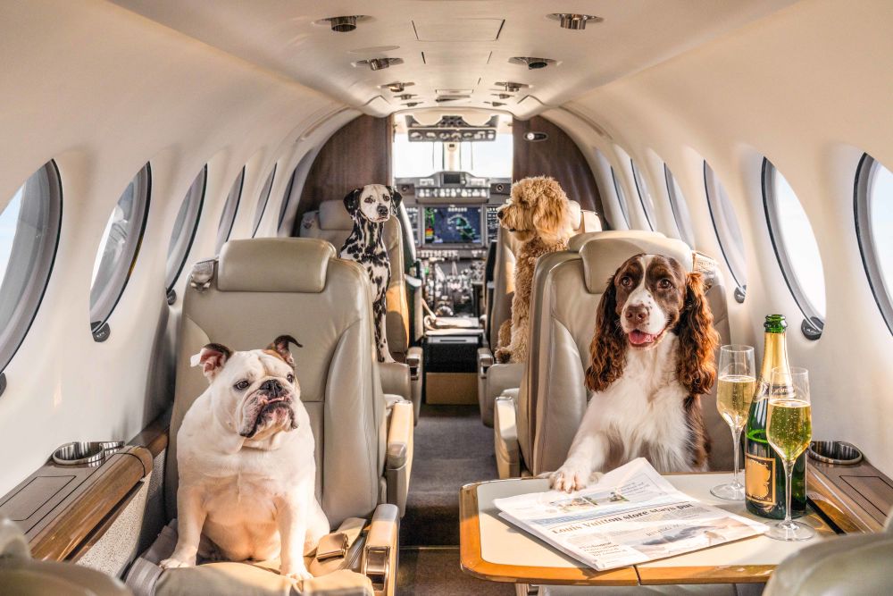 Photography by Gray Malin of Private Jet, Palm Beach