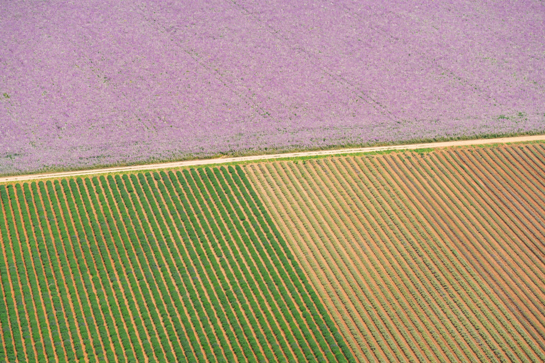 Photography by Gray Malin of Provençal Road