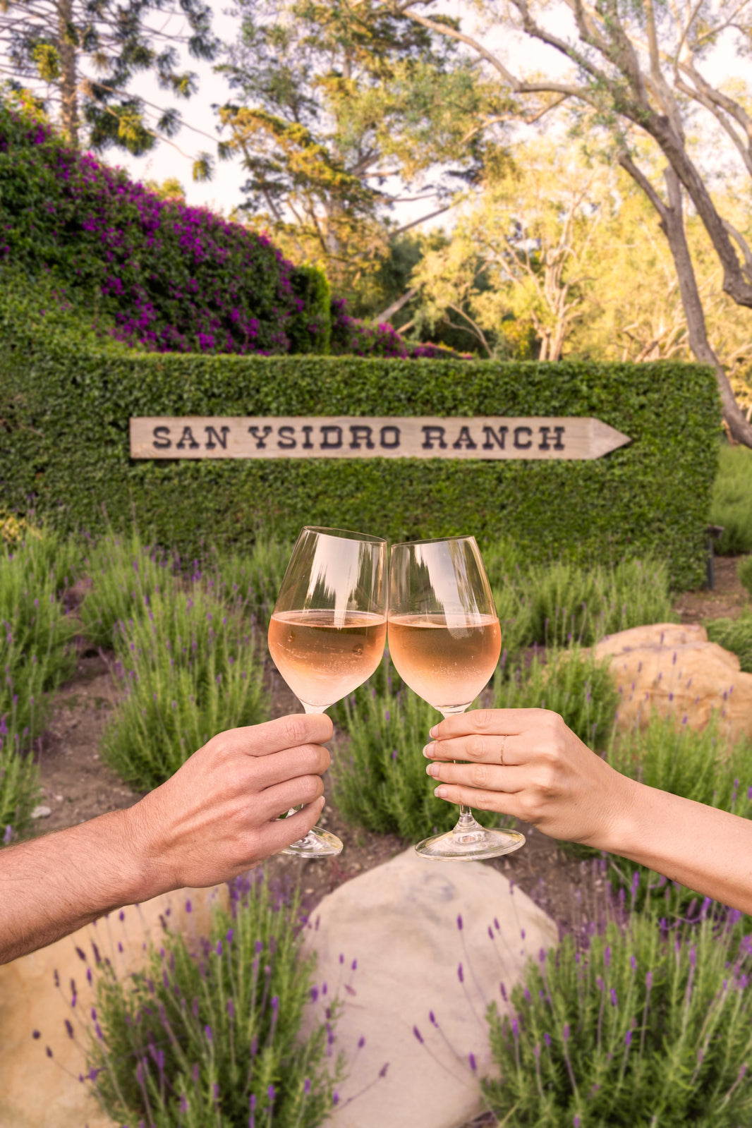 Photography by Gray Malin of Rosé Cheers, San Ysidro Ranch