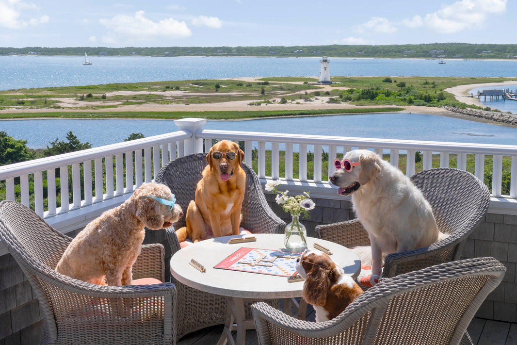 Photography by Gray Malin of Scrabble with a View, Edgartown, Martha’s Vineyard