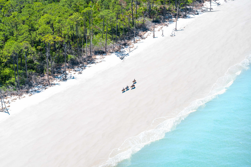 Photography by Gray Malin of Seaside Horses, Jekyll Island, Georgia